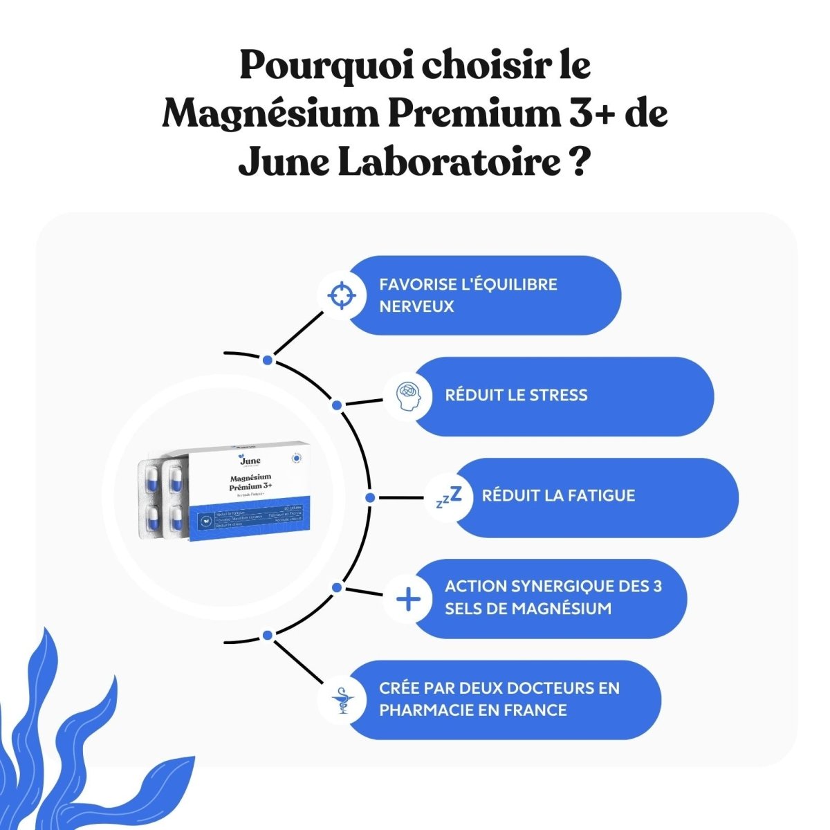 Quel est le meilleur magnésium ? - June Laboratoire