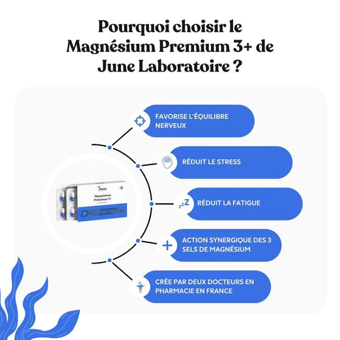 Quel est le meilleur magnésium ? - June Laboratoire