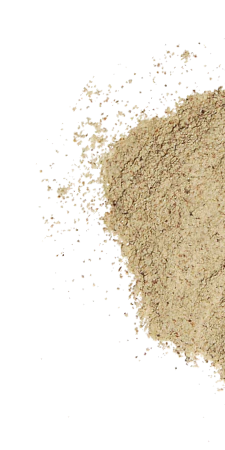 pt-ing-ingredient-image-ashwagandha-1.png